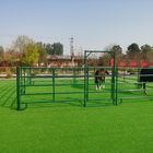 Galvanized Portable Farm Yard Fence
