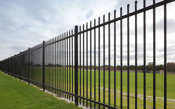 Ornamental Metal Wrought Iron Fence