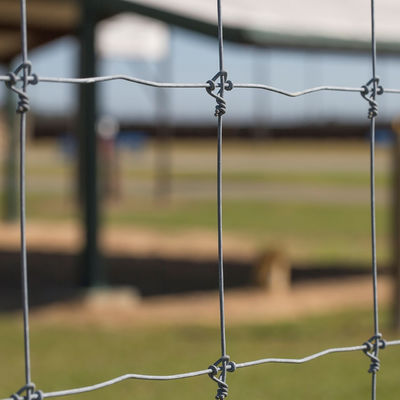 Ogrodzenie z drutu ocynkowanego ogniowo o stałej długości 8 stóp Deer Wire Mesh