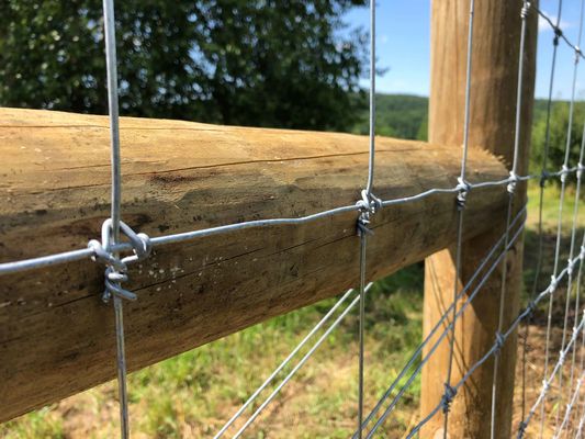 Deer Fixed Knot Fence 1,2 m zawiasowe ogrodzenie z siatki drucianej dla bydła